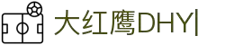 大红鹰dhy(中国)有限公司官网